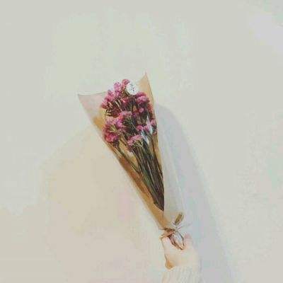 婉君传奇游戏下载